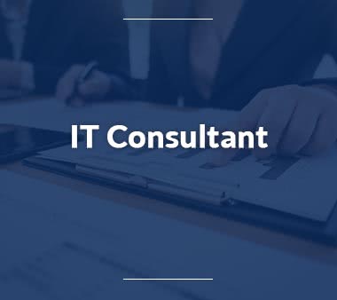Key Account Manager IT Consultant