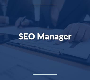 Data-Scientist-SEO-Manager