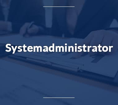 IT Manager Systemadministrator