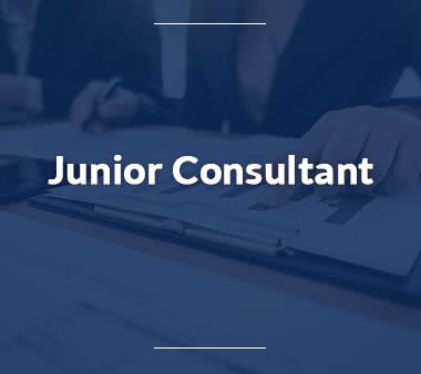 Junior-Consultant