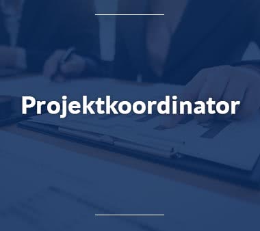 Fluglotse Projektkoordinator