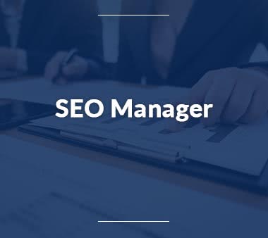 Mediaplaner SEO Manager