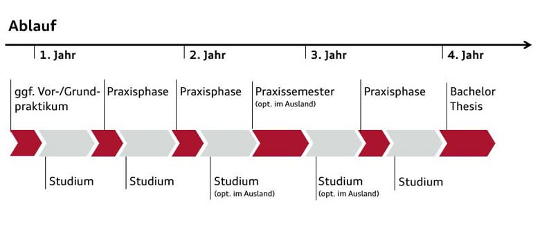 Duales Studium bei Audi